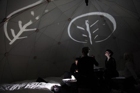 Mali daždevnjak prelazi cestu