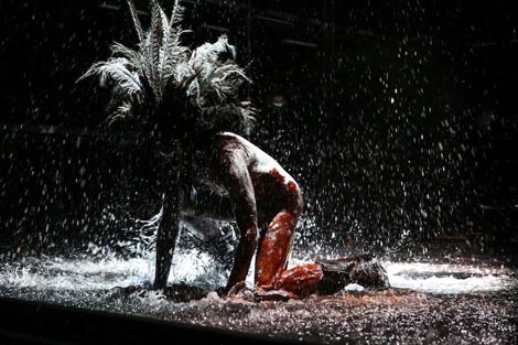 Hrvatsko narodno kazalište u Zagrebu, Mittelfest, Teatro Nuovo Giovanni da Udine (Italija), Pandur.Theaters (Slovenija): Michelangelo (prema motivima drame Miroslava Krleže Michelangelo Buonarotti), red. Tomaž Pandur