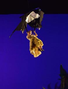 Istarsko narodno kazalište – Gradsko kazalište Pula: Hans Christian Andersen, Palčica, red. Andrea Gotovina, foto: Sasa Miljević